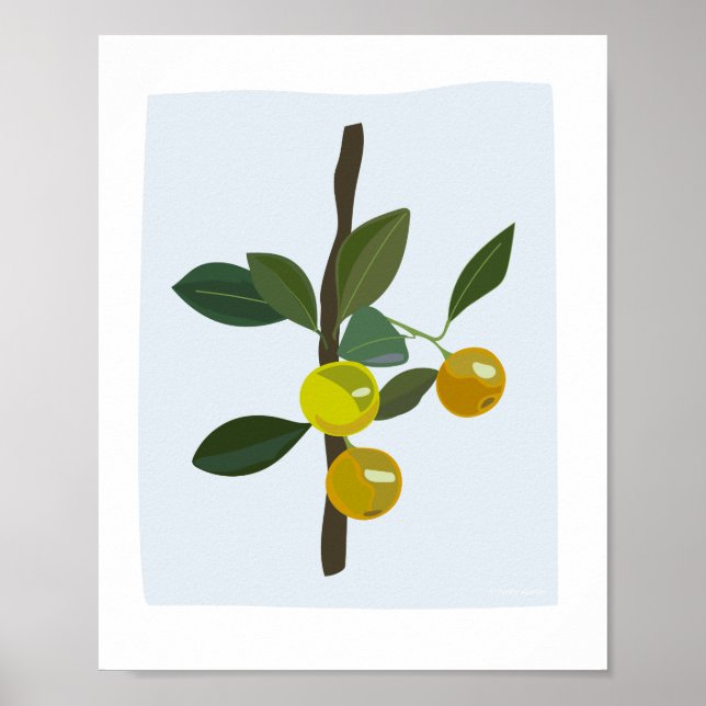 Poster Illustration de l'agrumes calamonsi Golden Lime (Devant)