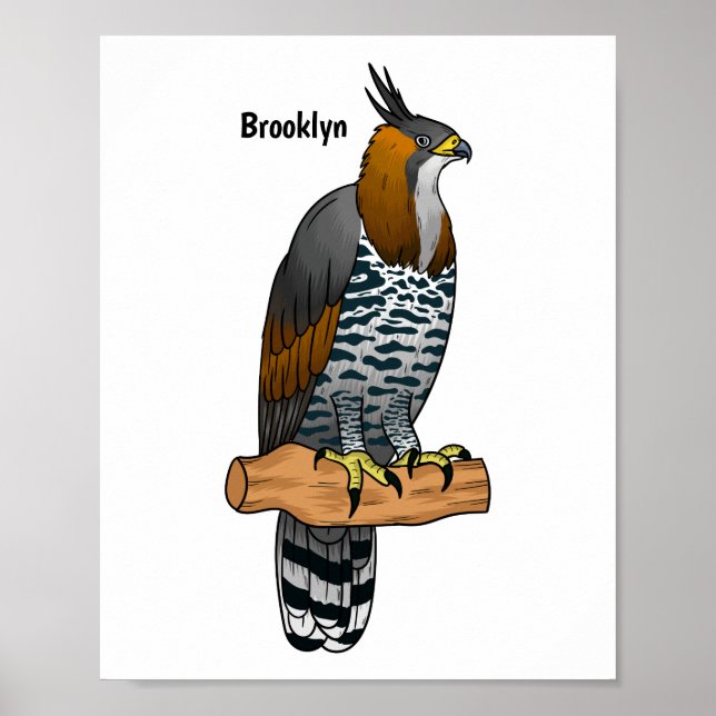 Poster Illustration de l'aigle à faucon orné (Devant)