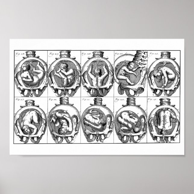 Poster Illustration de l'anatomie du bébé dans l'utérus V (Devant)