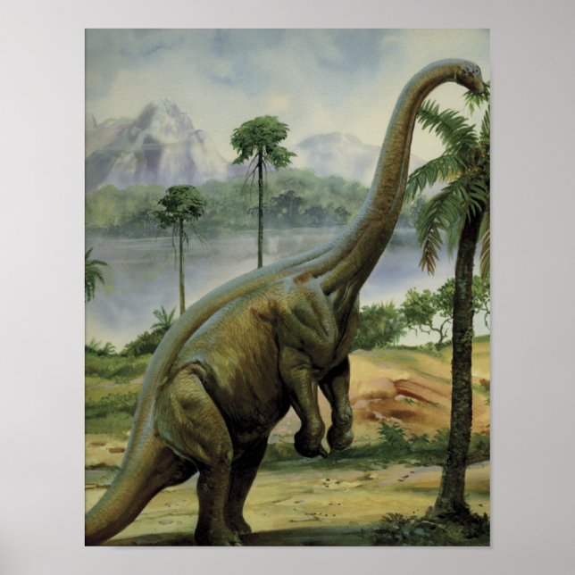Poster Illustration de l'Apatosaure (Brontosaurus) (Devant)