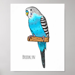 Poster Illustration de l'oiseau bleu budgerigar