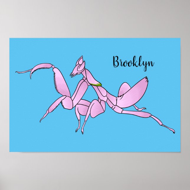 Poster Illustration de l'orchidée mante (Devant)