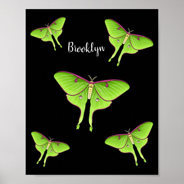 Poster Illustration de Luna Moth (Devant)