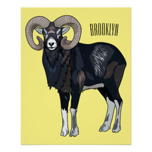 Poster Illustration de mouflon, mouton