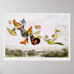 Poster Illustration de papillon vintage