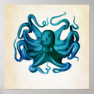Poster Illustration de pieuvre aquarelle