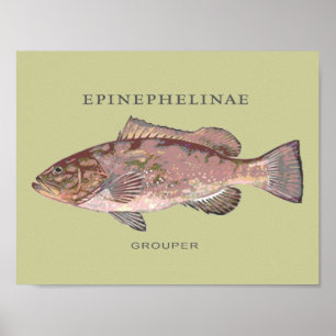 Poster Illustration de poisson mérou