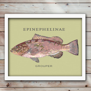 Poster Illustration de poisson mérou