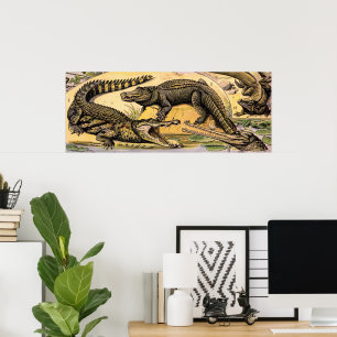 Poster Illustration de Reptiles vintages par Adolphe Mill