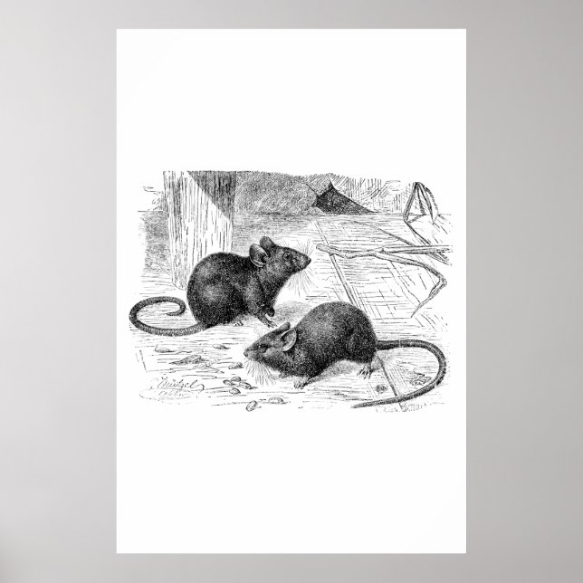 Poster Illustration de souris rétro de souris à souris à  (Devant)