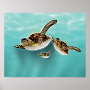 Poster Illustration de tortues marines