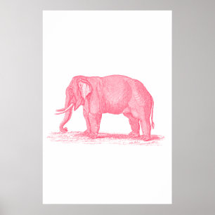 Poster Illustration des éléphants roses vintages des anné