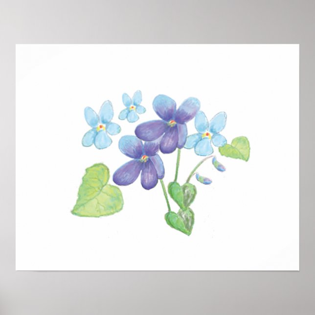 Poster Illustration des fleurs de violet sauvages (Devant)