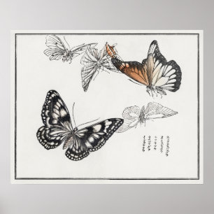 Poster Illustration des papillons de Churui Gafu (1910)