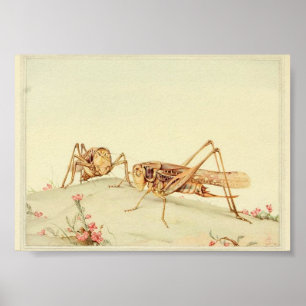 Poster Illustration d'insectes vintages