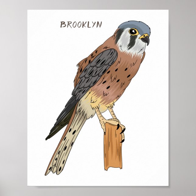Poster Illustration d'oiseau américain Kestrel (Devant)