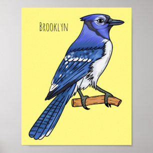 Poster Illustration d'oiseau de jay bleu