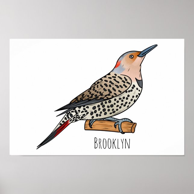 Poster Illustration d'oiseau de scintillement du Nord (Devant)