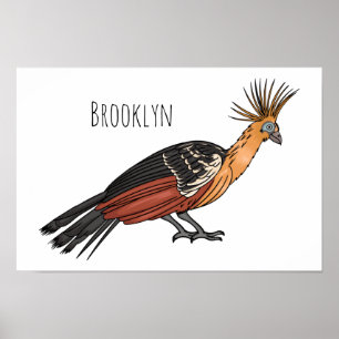 Poster Illustration d'oiseau Hoatzin