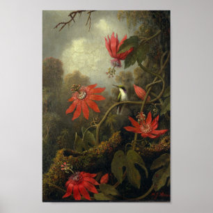 Poster Illustration d'oiseaux vintages