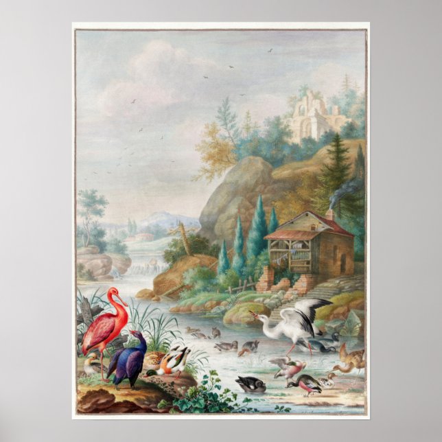 Poster Illustration d'oiseaux vintages (Devant)