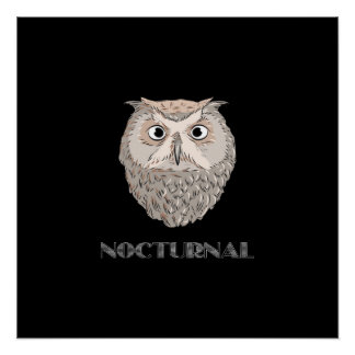 Poster Illustration du canal octurne