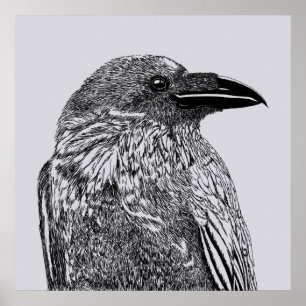 Poster Illustration du corbeau