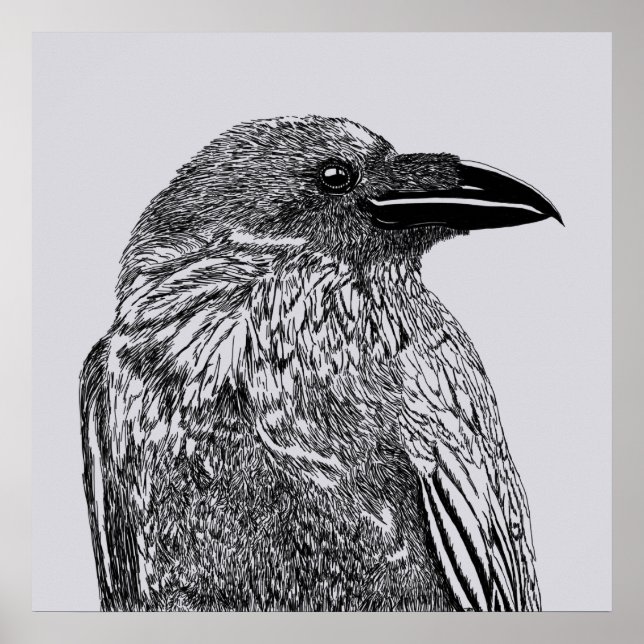 Poster Illustration du corbeau (Devant)