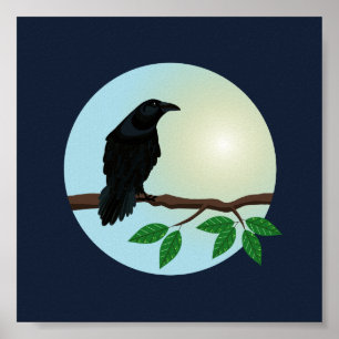 Poster Illustration du Corbeau commun