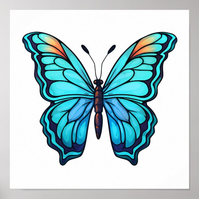 Poster Illustration du papillon de dessin (Devant)