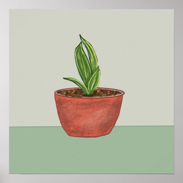 Poster Illustration du Plante de serpent (Devant)