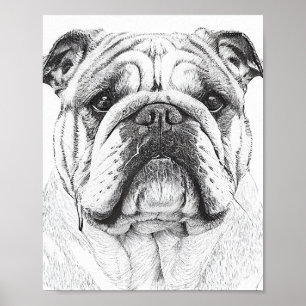 Poster Illustration d'un animal sauvage de Bulldog anglai
