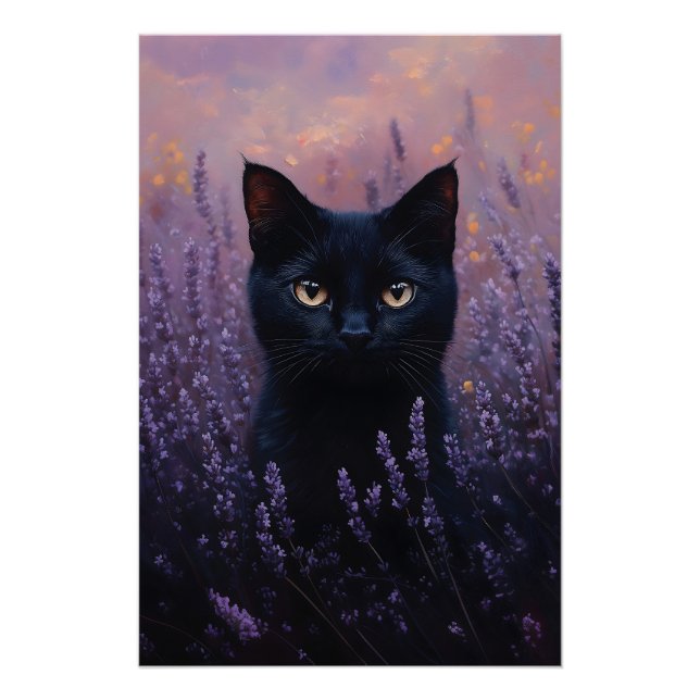 Poster Illustration d'un chat noir dans un champ de lavan (Devant)