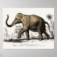 Illustration Eléphant Art Vintage Imprimer