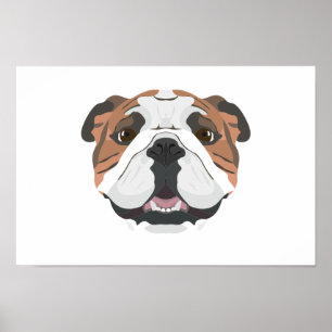 Poster Illustration English Bulldog