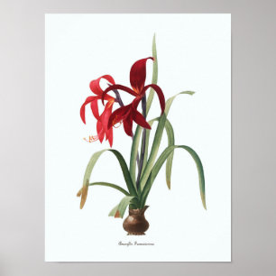 Poster Illustration florale vintage Art botanique Imprime