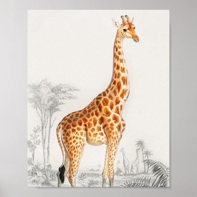 Poster Illustration Giraffe Art Vintage Imprimer (Devant)