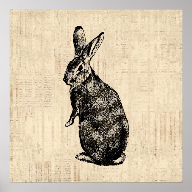 Poster Illustration lapin antique avec script (Devant)
