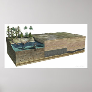 Poster Illustration montrant la formation de charbon