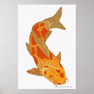 Poster Illustration numérique de Koi Carp