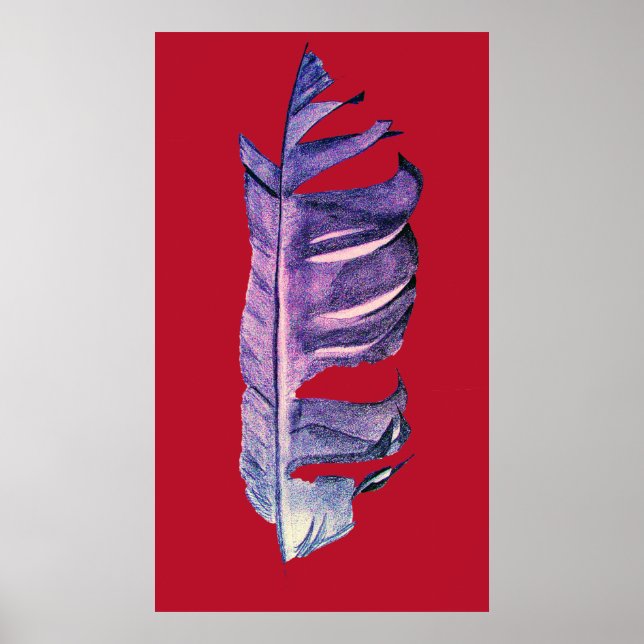 Poster Illustration originale de dessin de plumes (Devant)
