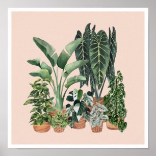Poster Illustration Plante de la maison 4