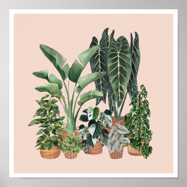 Poster Illustration Plante de la maison 4 (Devant)