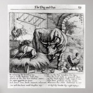 Poster Illustration pour 'Le chien et le boeuf'