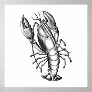 Poster Illustration scientifique du homard Vintage noir
