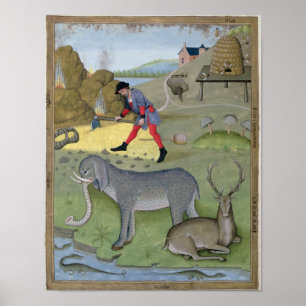 Poster Illustration tirée du livre "Book of Simple"