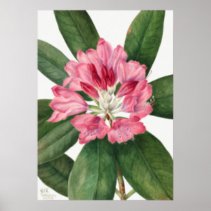 Poster Illustration vintage