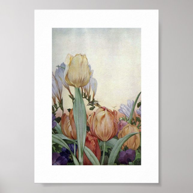 Poster Illustration vintage (Devant)
