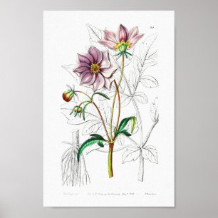 Poster Illustration vintage