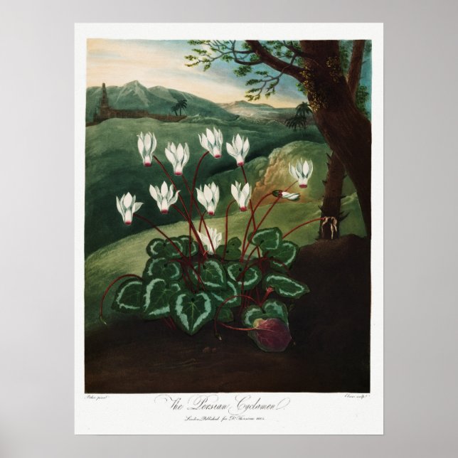 Poster Illustration vintage (Devant)